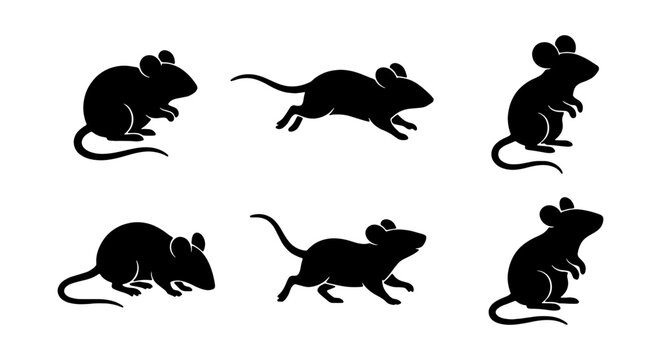 Mouse silhouettes, six black rodent icons, simple animal vector set, pest control graphics
