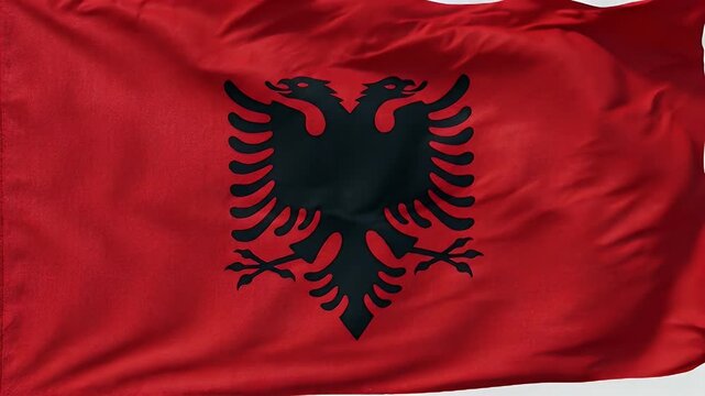 Close-up shot of the Albanian flag waving in the wind. The red flag has a black double-headed eagle in the center.