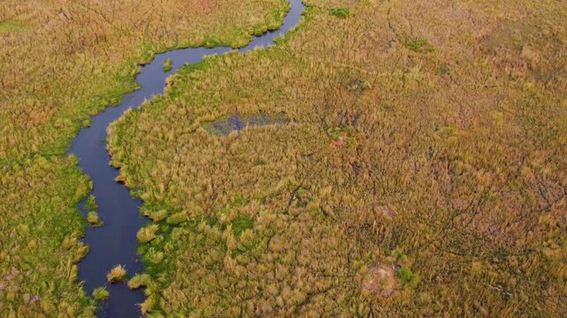 4K drone footage of Marshland of Okavango Delta of Botswana South Africa.