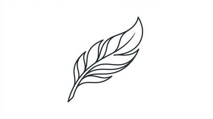 Obraz premium A minimalist line drawing of a single feather or leaf