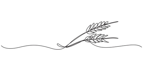 Ears of wheat one continuous line drawing .Fall harvest line art. Vector one line of spikelet . Thanksgiving symbol.Grain, One continuous line. Spikelet of wheat. Spikelet of a cereal plant. Flat.   © Vector Man