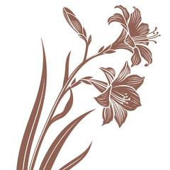 copper iris flower silhouette on white background © MOHAMMADRIPON
