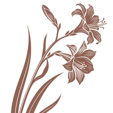 copper iris flower silhouette on white background