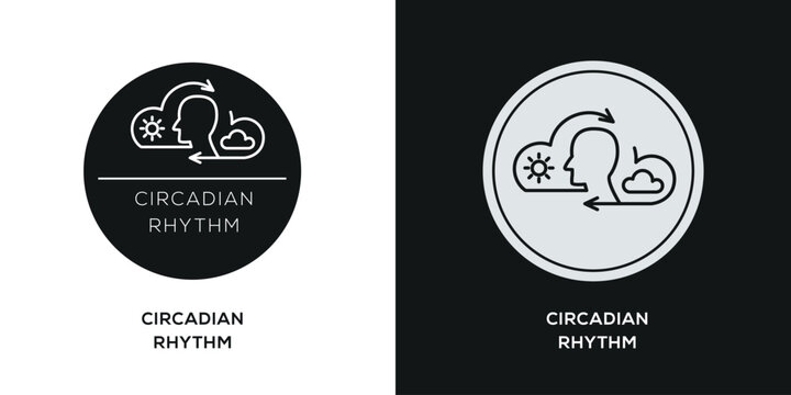 Circadian Rhythm Icon Design, vector illustration.
