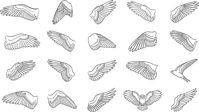 Wing Icon Set with Various Bird Wings Illustrations in Different Poses and Styles for Nature, Wildlife, and Digital Designs