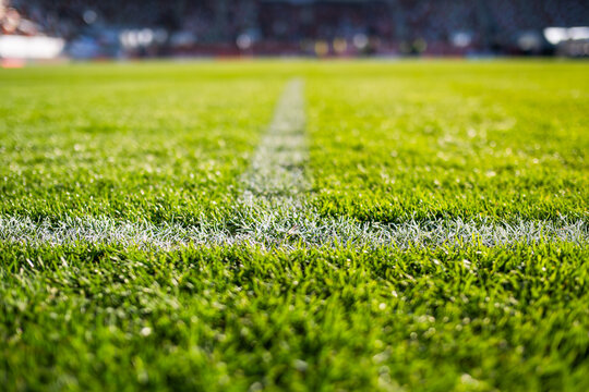 Close-up low-angle view of a white chalk boundary line on a vibrant green soccer pitch with a blurred stadium in the background.