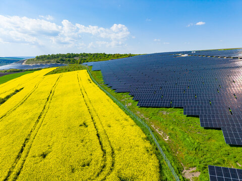 Solar panels cover a large field while yellow flowers grow nearby under a clear sky in a renewable energy location