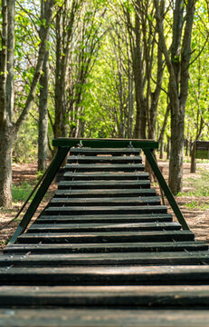 Wooden suspension ladder for agility training in the green summer park forest