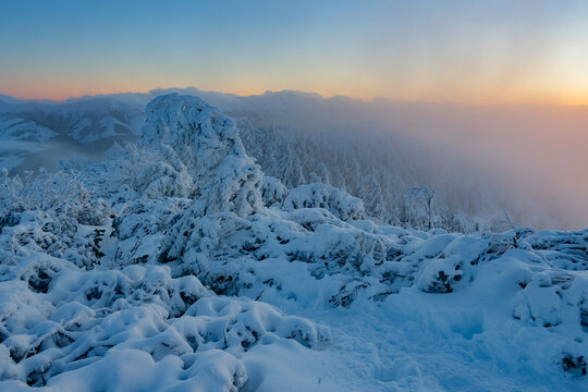View of Salatin mountain peak with snow-covered pine trees and mist during golden hour in Liptovska Stiavnica, Zilinsky kraj, Slovakia.