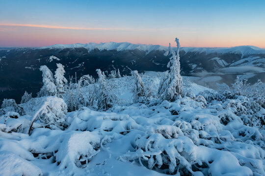 View of the snow-covered Salatin peak and frozen trees under a colorful twilight sky in the Low Tatras, Liptovska Stiavnica, Zilinsky kraj, Slovakia.