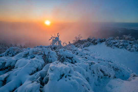 View of Salatin mountain peak with snow-covered bushes and trees under a glowing sunset sky with thick fog in Liptovska Stiavnica, Zilinsky kraj, Slovakia.