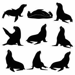 Black marine sea lion silhouettes isolated on bright white background © Sketch