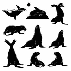 Cute sea lion family silhouettes isolated against pure white background © Sketch
