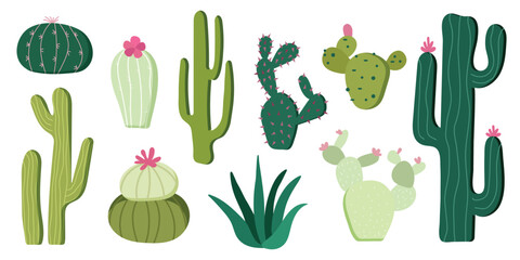 Hand drawn cactus clipart collection in boho pastel style © Veronika
