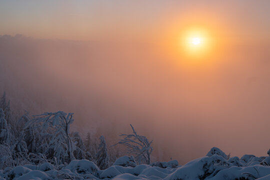 View of Salatin mountain peak with snow-covered trees and thick fog under a glowing winter sun in Liptovska Stiavnica, Zilinsky kraj, Slovakia.