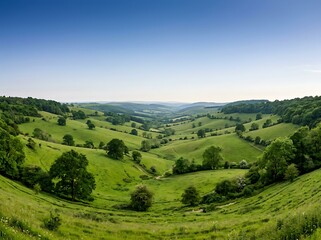 Obraz premium Rolling green hills under a clear blue sky in a lush rural landscape