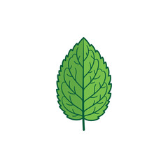 Green Mint Leaf Icon - Fresh Herb Symbol for Health, Food, and Wellness © Fauzi