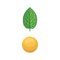 Cooling Green Mint Leaf and Sweet Yellow Orb Graphic Symbolizing Refreshing Taste © Fauzi