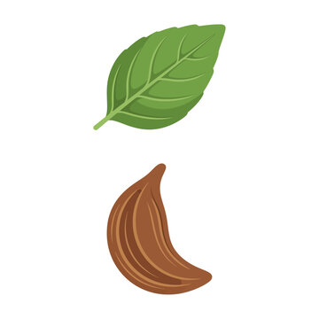 Illustrative Icons Featuring Aromatic Basil Leaf and Wholesome Flax Seed Elements
