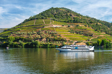 Fototapeta premium View of a cruise boat on the Douro River in Regua with passengers, vineyard terraces, green hills and soft reflections on the water.