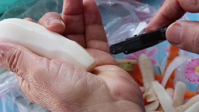 Hands peeling fresh white turnip with vegetable peeler