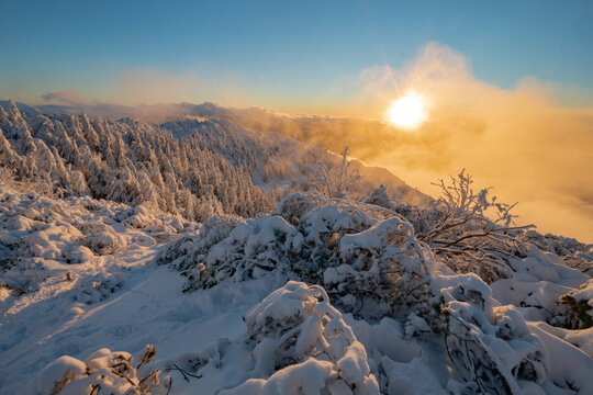 View of Salatin mountain peak with snow-covered pine trees and golden sunset light over misty peaks in Liptovska Stiavnica, Zilinsky kraj, Slovakia.