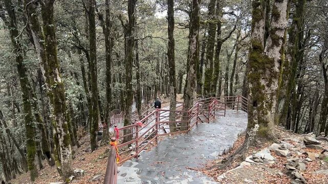 Stone steps and forest trail leading to Shikari Mata Temple through dense woodland in Himachal Pradesh, India.