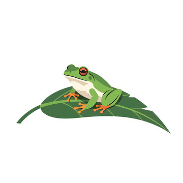 Green Frog Sitting on Leafy Branch 1.