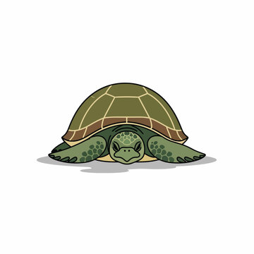 Green Turtle Cartoon Character Illustration.