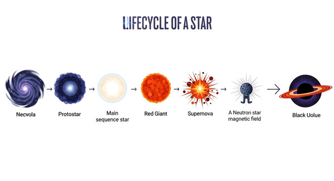 Lifecycle of a star infographic showing the evolution from nebula to black hole