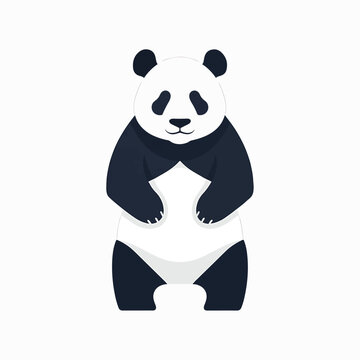 Panda Bear Standing On Two Legs.