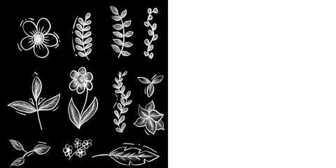 Set of chalk or crayon doodle hand drawn leaves and flowers. © Anastasiya