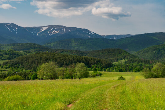 View of lush green meadows and dense forests leading to the snow-capped peaks of the Low Tatras mountains under a cloudy sky in Horna Lehota, Banskobystricky kraj, Slovakia.