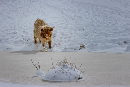 Winter scenes in North eastern Tennssee, USA