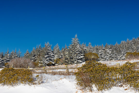 Winter scenes in North eastern Tennssee, USA