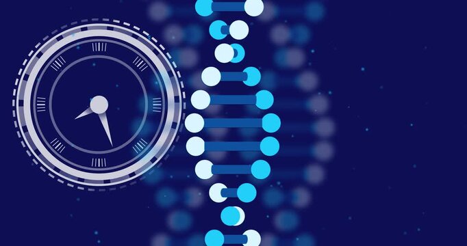 HUD appearing, DNA helix assembling up while ringed HUD rotating and rungs pulsing, showing timing