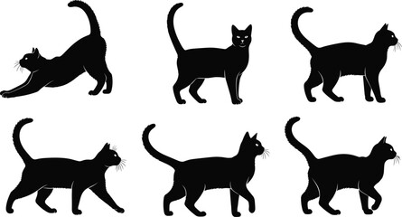 Black cat silhouette vector collection. Walking, standing and stretching feline poses isolated on transparent background for pet and animal design. © ALFINI