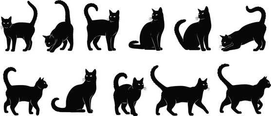 Black cat silhouette vector set. Walking, sitting and playful feline poses collection. Elegant pet animal illustrations isolated on transparent background. © ALFINI