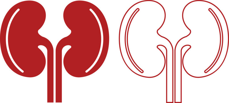 human kidney vector icon set, collection and group of renal organ anatomy urinary system medical health nephrology symbols illustration pack bundle design