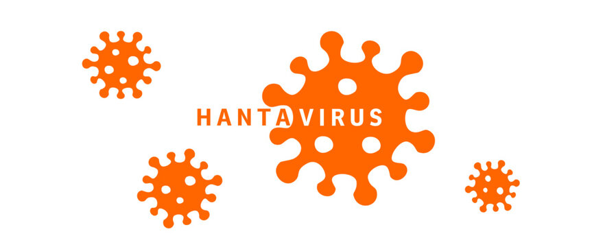 Hantavirus epidemic microbe vector silhouette banner illustration.