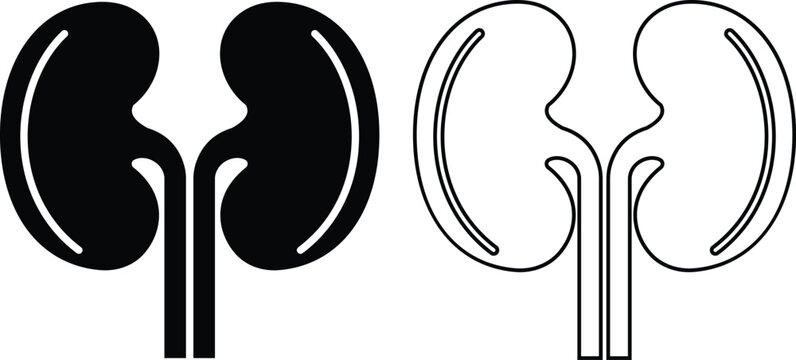 human kidney vector icon set, collection and group of renal organ anatomy urinary system medical health nephrology symbols illustration pack bundle design