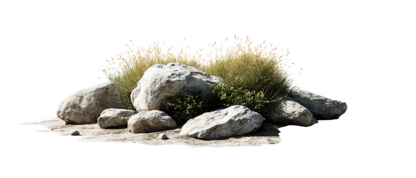Rock garden with boulders and ornamental grass isolated
