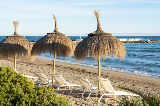 Beach umbrellas on a beach