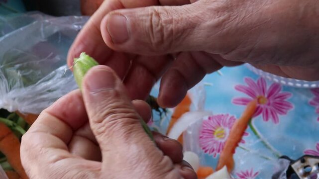 Hands opening fresh fava bean pod close-up cooking video