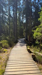 Obraz premium Natural kladska trail in Marianske Lazne