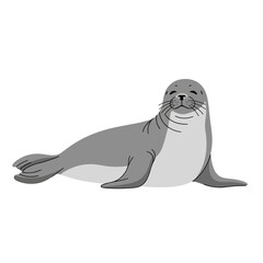 Cartoon illustration of a seal. © Masini