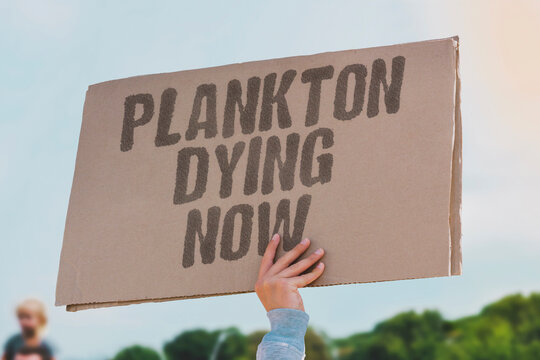 "Plankton Dying Now" Warming seawater kills phytoplankton undermining the entire ocean food web. WARMING. SEAWATER. PHYTOPLANKTON. UNDERMINING. FOODWEB.