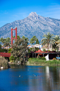mount sierra blanca in spring