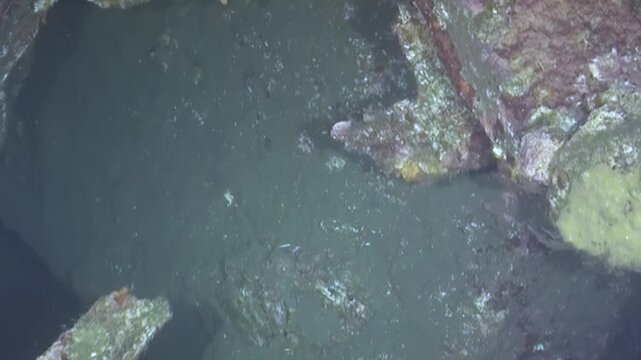 A glimpse into the ocean's silent heart, where ancient, corroded structures rest. Vibrant marine growth blankets the forgotten metal, teeming with hidden life in the deep blue expanse.