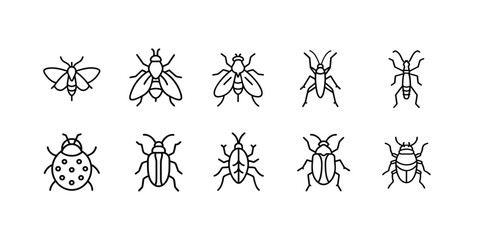 Insects and bugs web line icons set spotted ladybug beetle flying house fly winged moth insect garden bug pest longhorn beetle antenna & more vector illustration with editable stroke © Purnima